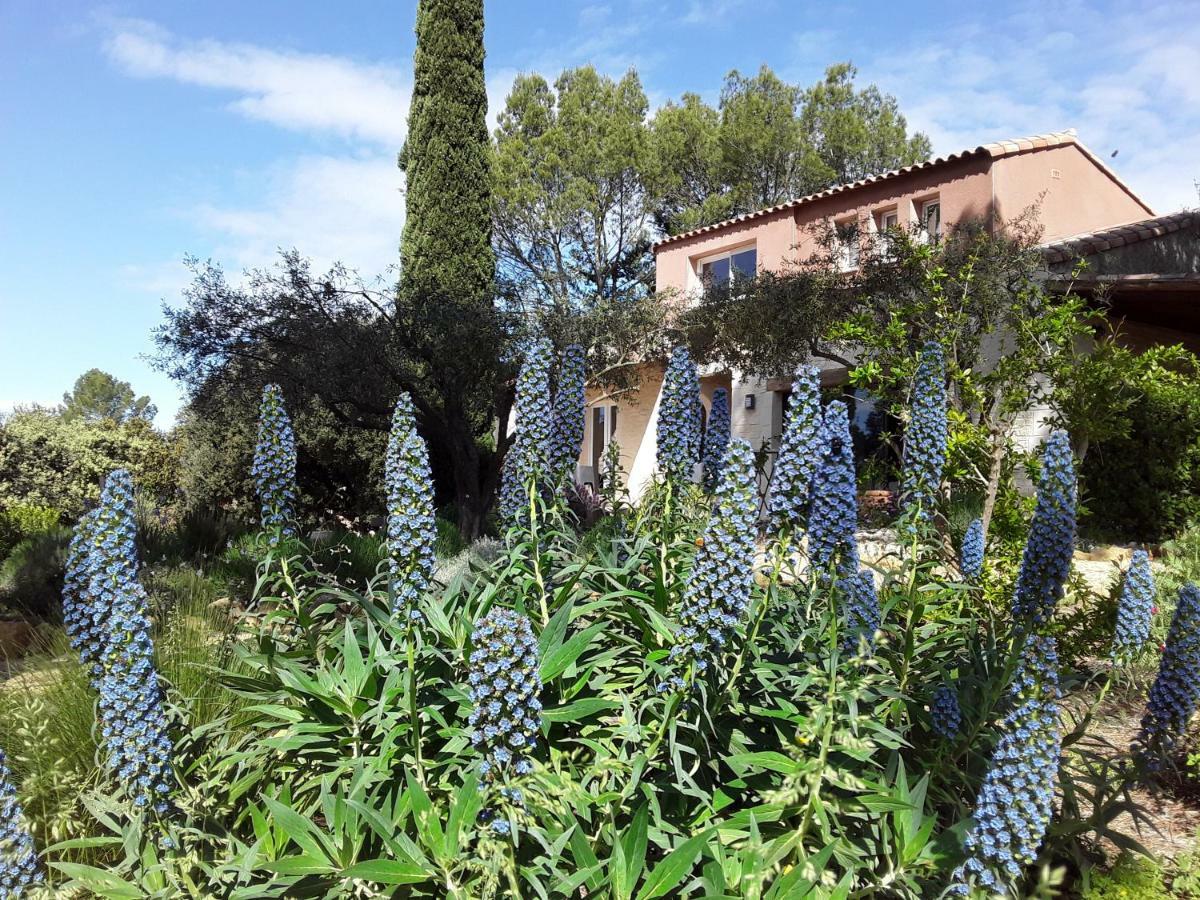 L'Atelier Bed and Breakfast Saint-Maximin  Eksteriør billede